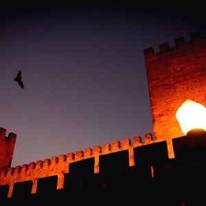 Descrição da imagem: fotografia das muralhas do Castelo à noite onde vemos, à direita, um candeeiro que ilumina um morcego que sobrevoa o Castelo.